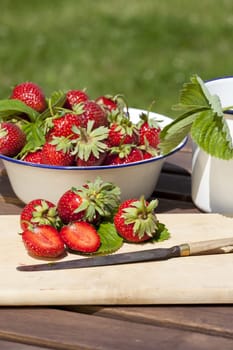Strawberries,freshly harvested in a bowl and some on a cutting board with knife