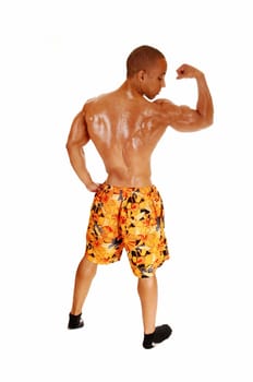 A very muscular young man standing in a colorful shorts from the back.for white background with his arm up, showing his biceps..