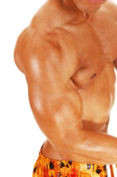 A closeup picture of a muscular young bodybuilder showing his biceps .and chest for white background..
