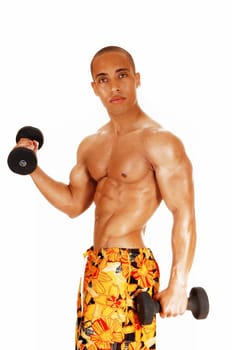 A young Jamaican bodybuilder standing in a colorful shorts for white.background holding two dumbbell, ready for exercise..