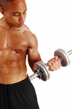 A closeup picture of a bodybuilder exercising his biceps with 10 kg dumbbells.standing for white background..