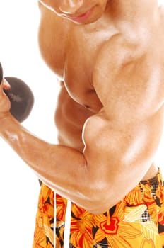 A closeup of the chest and biceps of a young bodybuilder holding up a.dumbbell for white background..