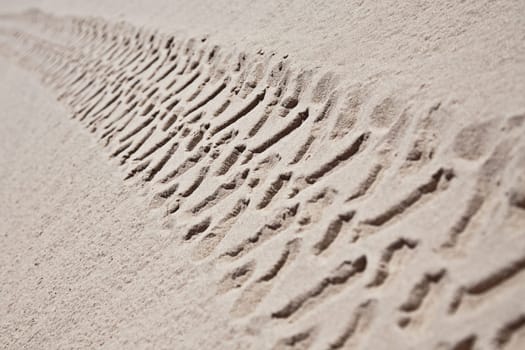 Industrial car tire traces on sand background