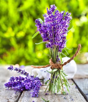 Lavender fresh