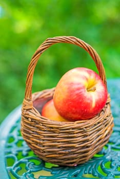 Apples in the basket