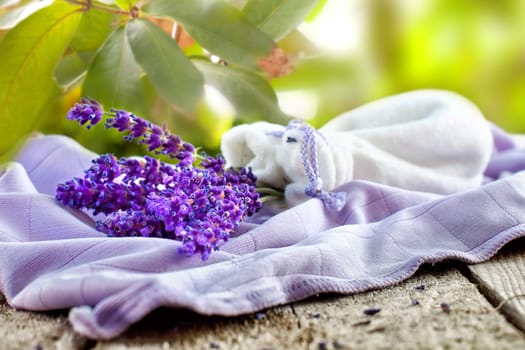 Lavender in the garden