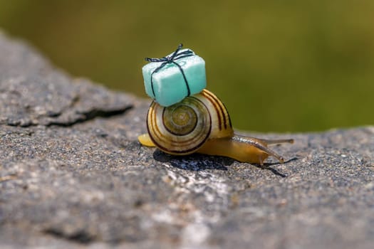 Snail mail
