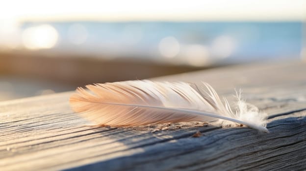 A feather laying on a wooden table in front of the ocean