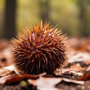 A close up of a spiky ball on the ground