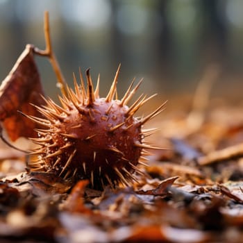 A red and brown spiky ball sitting on the ground