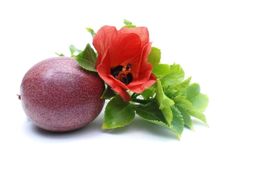 Passion fruit
