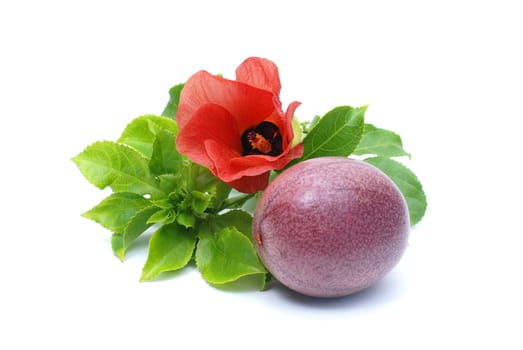 Passion fruit