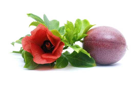 Passion fruit