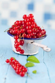 fresh red currants