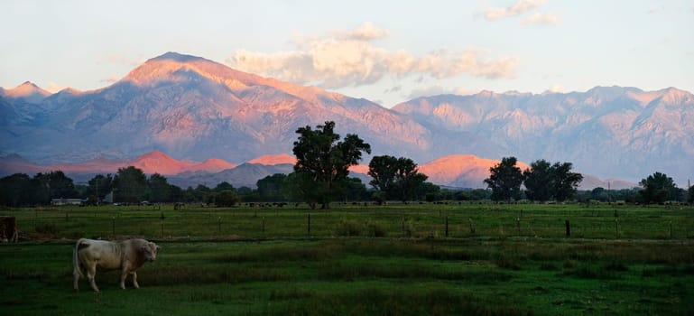 Sunrise in Owens Valley at the foot of Sierra Nevada,Owens Valley,Bishop,California,USA,North America