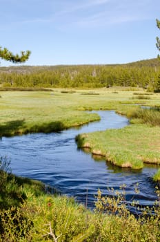 River in Yellowstone National Park in Wyoming