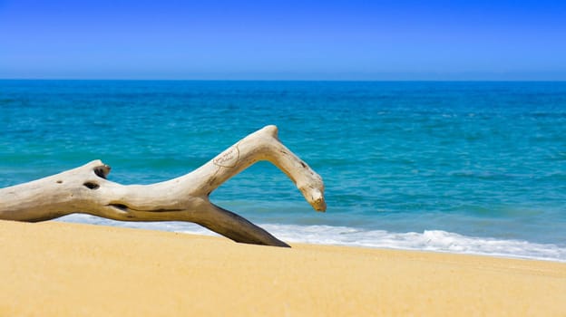 A tree stump with engraved heart lying on a tropical beach.