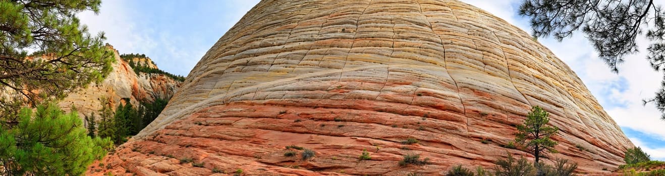 Checkerboard Mesa in Zion National Park,Utah,USA