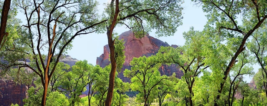 The Grotto in Zion National Park,Utah,USA