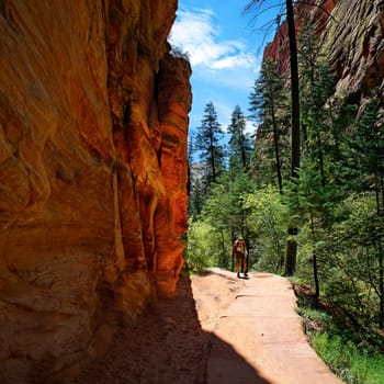 Trail to Angel Landing in Zion National Park,Utah,USA