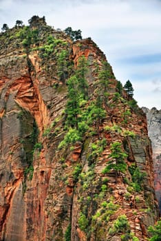 Angel Landing in Zion National Park,Utah,USA