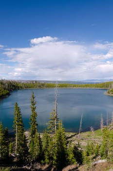 Lake in Yellowstone National Park in Wyoming