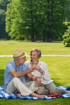 Senior couple on romantic picnic in sunny park