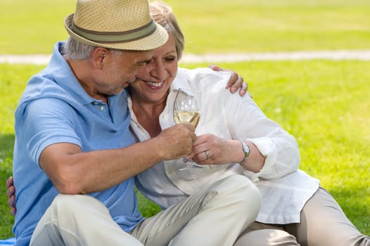 Senior hugging couple clinking glasses on  picnic