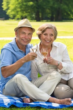 Happy senior couple drinking wine in park sunny day