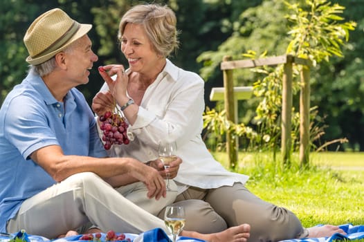 Smiling pensioner couple picnicking in the park sunny day