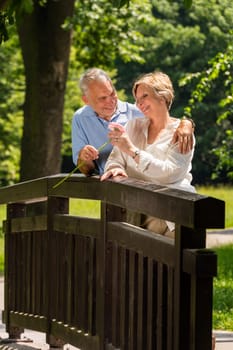 Elderly man giving her smiling wife a flower