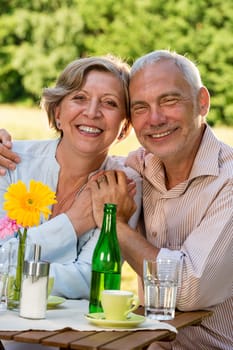 Cheerful senior couple looking at camera and smiling