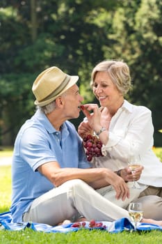 Happy playful pensioners having picnic outdoors