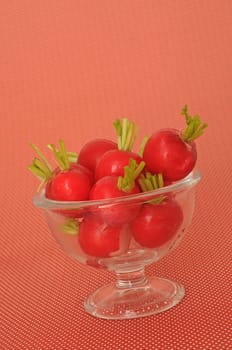 Radish