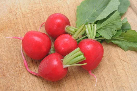 Radish