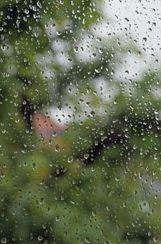 raindrops on the window