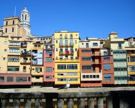 Gerona