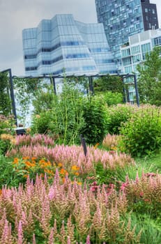 Landscaping at High Line in NYC in Manhattan.
