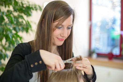 Hairdresser cutting clients hair in salon