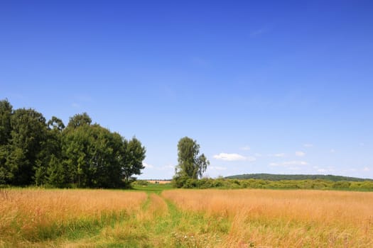 Natural landscape in Brandenburg