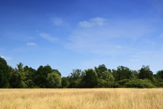 Natural landscape in Brandenburg