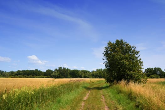 Natural landscape in Brandenburg