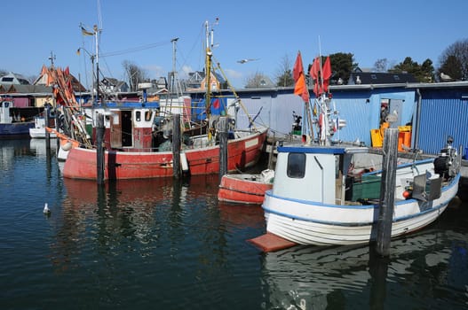 fishing boats