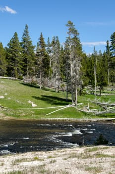 River in Yellowstone National Park in Wyoming