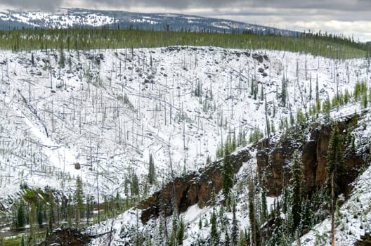 snow in summer in Yellowstone National Park in Wyoming