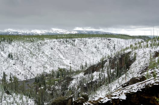 snow in summer in Yellowstone National Park in Wyoming