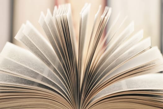 Composition with books on the table