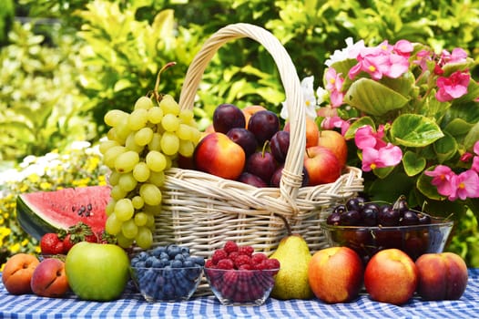 Basket of fresh organic fruits in the garden