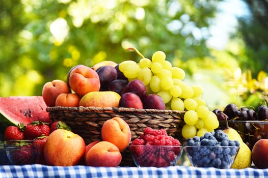 Basket of fresh organic fruits in the garden
