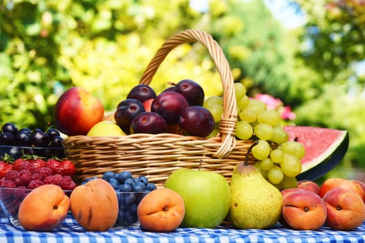 Basket of fresh organic fruits in the garden